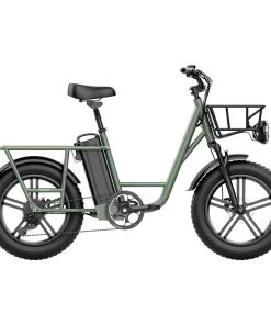FIIDO T1 Cargo Electric Bike 20*4.0 Inch Fat Tires 750W Power 50Km/h Max Speed 48V 20AH Lithium Battery 150KM Range Shock Absorber - Green