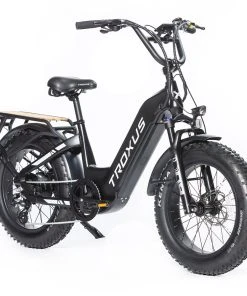 Troxus Lynx Electric Bike 20*4.0 Inch Fat Tire 750W Bafang Brushless Motor 45Km/h Speed 48V 20Ah Samsung Battery Up To 62 Miles Range Shimano 8 Speed - Black