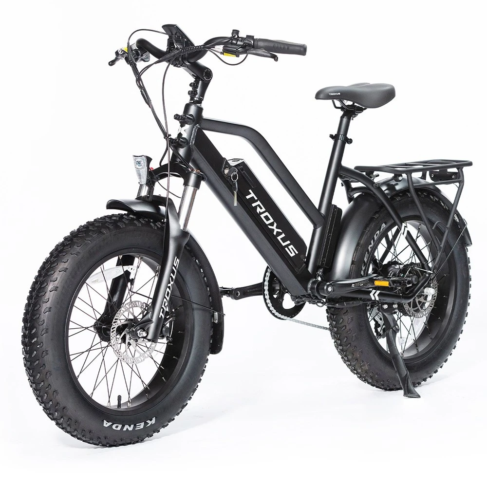 Troxus SkyHopper Electric Bike 20*4.0 Inch Fat Tire 750W Brushless Motor 42Km/h Speed 48V 12.8Ah Samsung Battery Up To 40 Miles Range Shimano 7-Speed