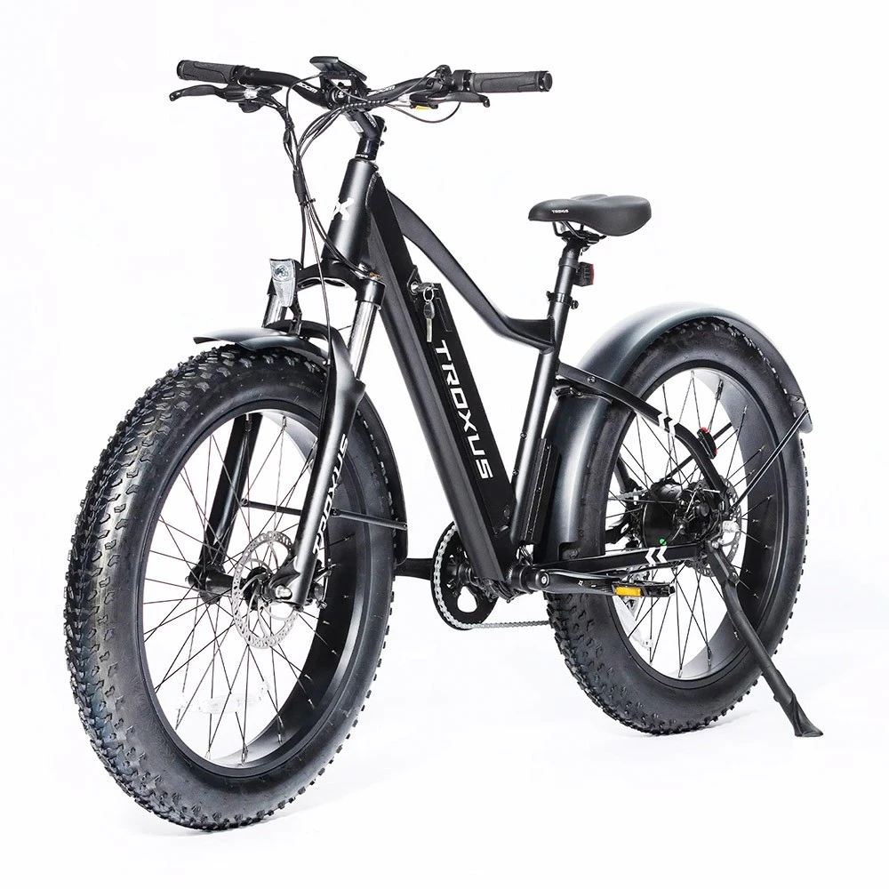 Troxus Vulcanus Electric Bike 26*4.0 Inch Fat Tire 750W Motor 42Km/h Speed 48V 16Ah Samsung Battery 7-Speed Shimano GearRoad Snow Mountain Bike