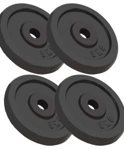 Weight Plates 4 Pcs 20 Kg Cast Iron